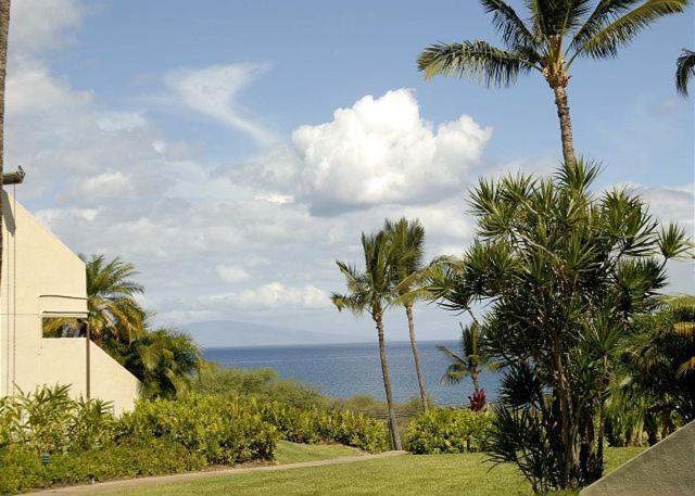 Maui Kamaole H-101 Lejlighed Wailea  Eksteriør billede