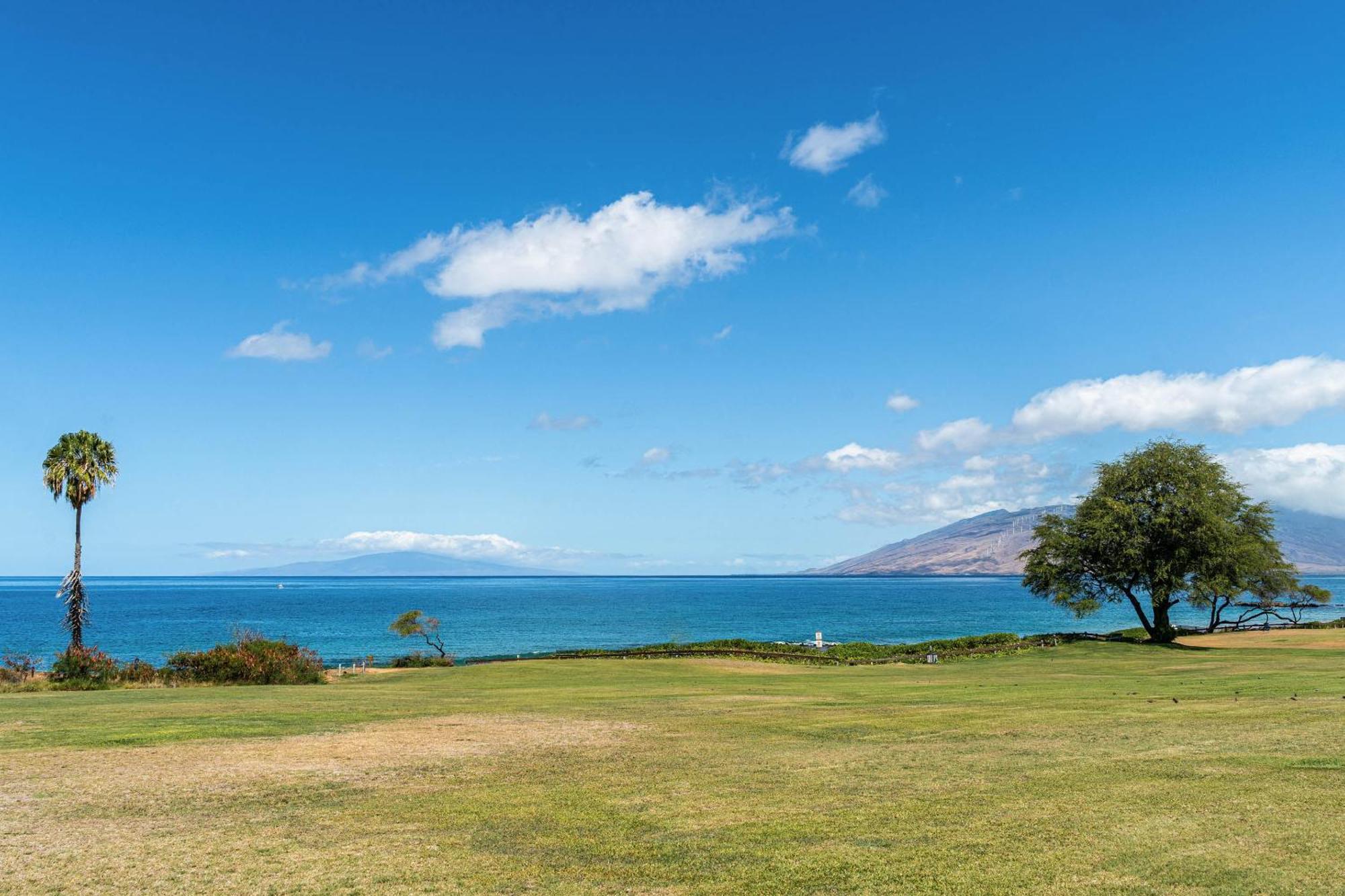 Maui Kamaole H-101 Lejlighed Wailea  Eksteriør billede