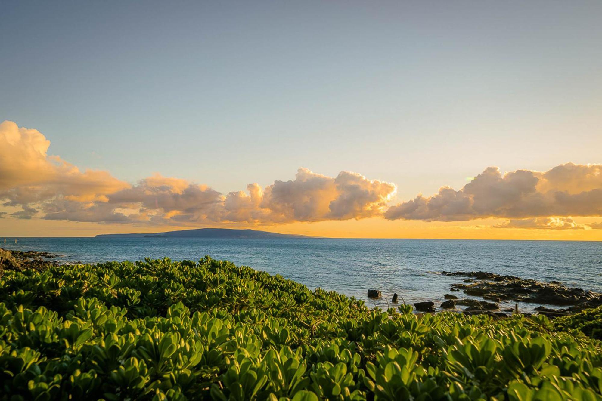 Maui Kamaole H-101 Lejlighed Wailea  Eksteriør billede