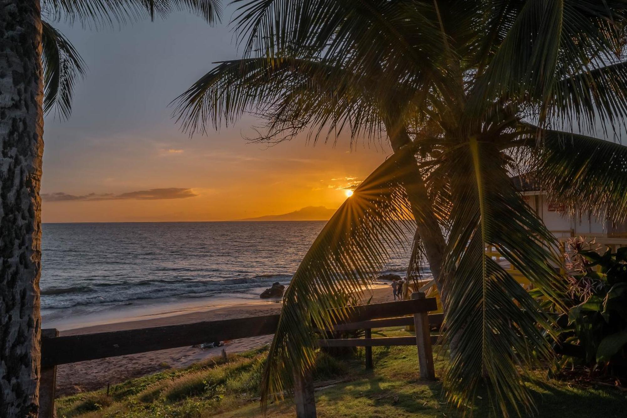 Maui Kamaole H-101 Lejlighed Wailea  Eksteriør billede